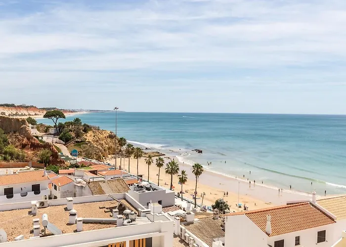 New ! Amazing 100m To The *