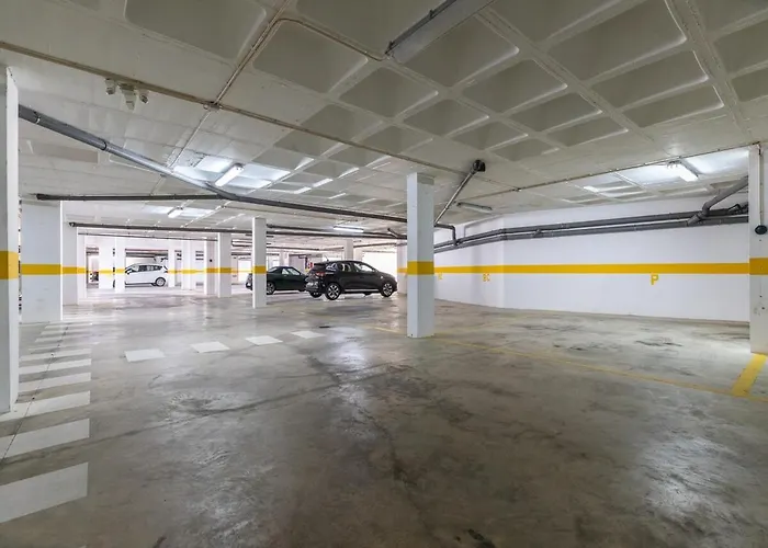 New ! Amazing 100m To The